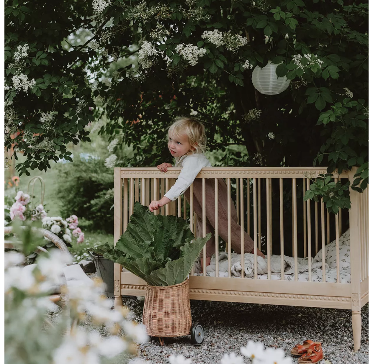 Gustavienne Lit Bébé évolutif Et Son Matelas - Bouleau – Image 4