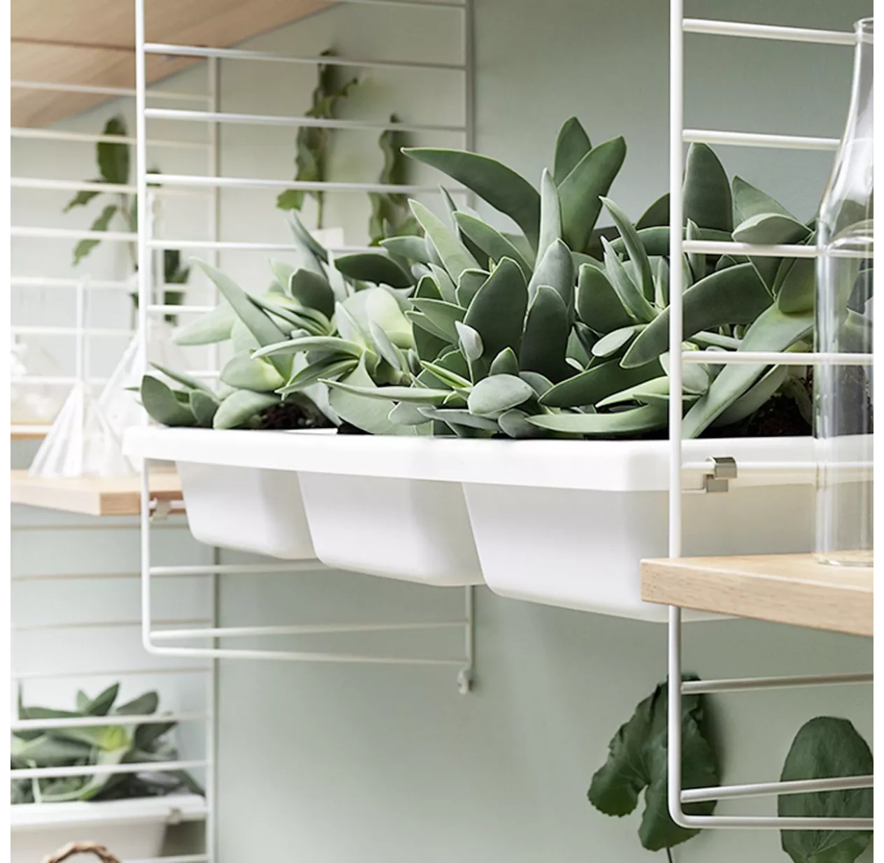 String Furniture Etagère Bowl 78 X 30 Cm - Blanc – Image 2